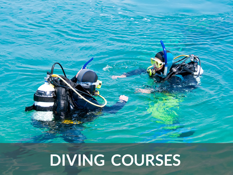 Diving Courses | DIVE LOFT KRK | Croatia