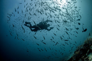 Diving Mali Plavnik Krk Croatia