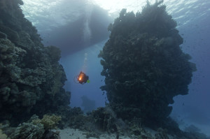 Mali Plavnik Steilwand DIVE CENTER KRK