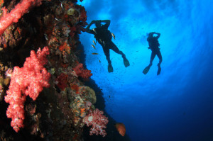 Divespot Mafia Bay Krk Croatia